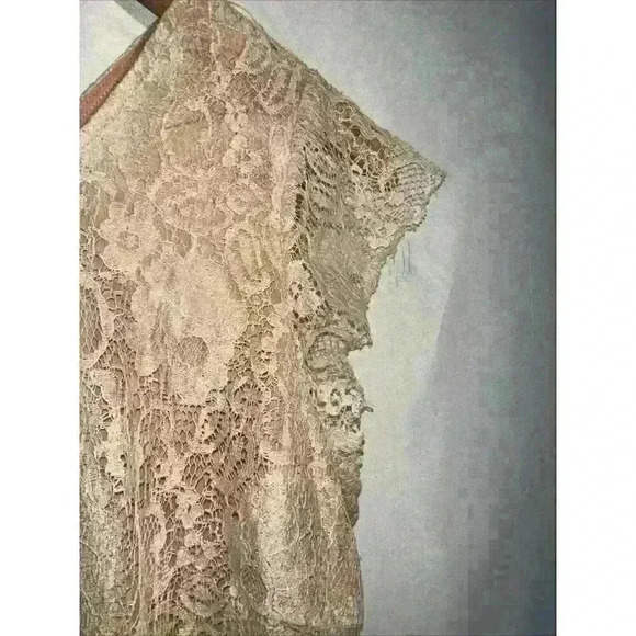 Anthropologie Maeve Katrine Lace Shimmer Peplum Top Blush/Ivory Cream Medium - Picture 4 of 7